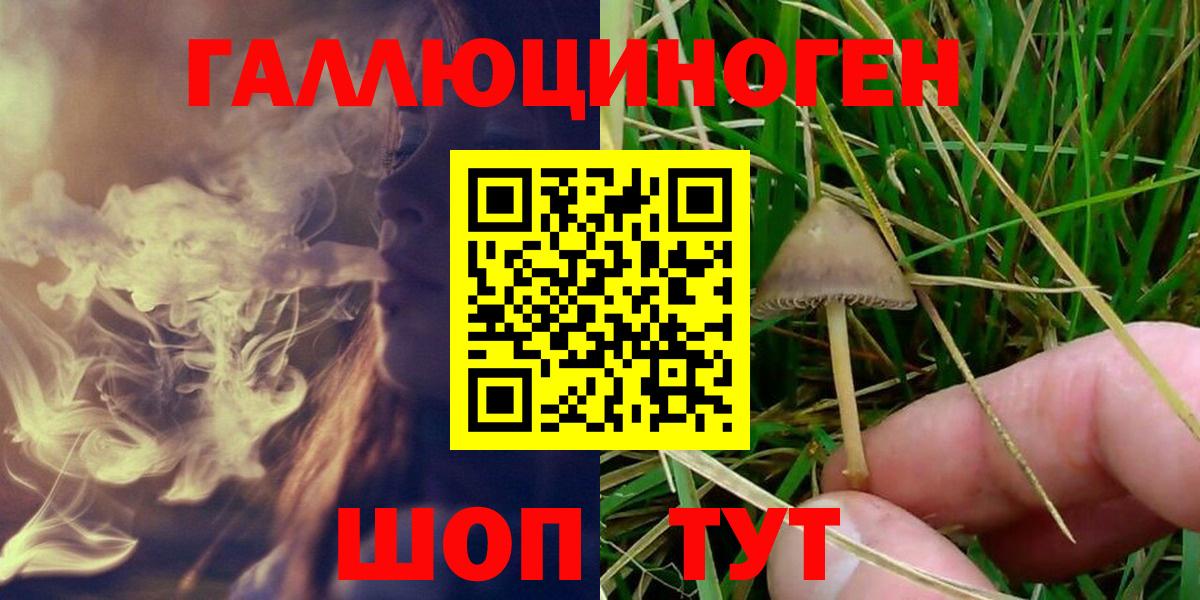 Воткинск  Галлюциногенные грибы прущие грибы  Вход с VPN  Псилоцибиновые грибы MAGIC MUSHROOMS 